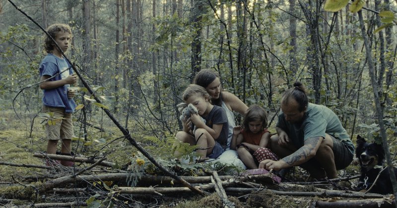 Las / Les / The Forest