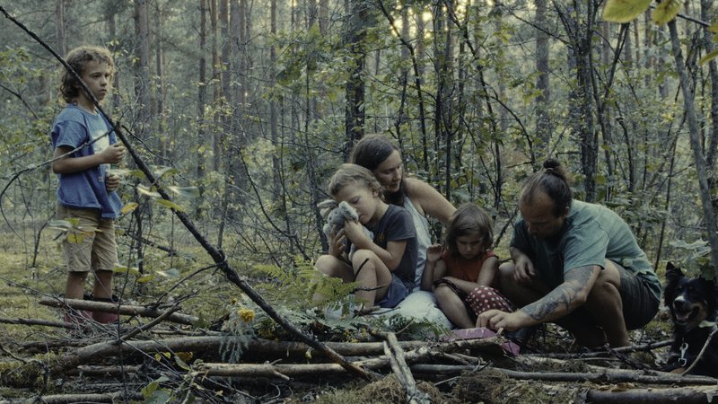Las / The Forest